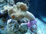 zeeaquarium 040.jpg