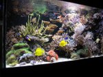 aquarium.jpg