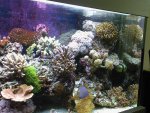 Foto's-0008.jpg
