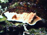 IMAGE_00200.jpg