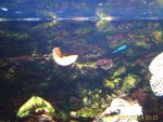IMAGE_00202.jpg
