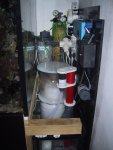 Rotation of IMG_0006.JPG