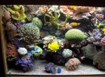 HR010892 [Zeewaterforum].JPG