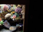 HR010894 [Zeewaterforum].JPG