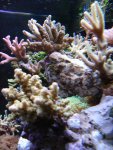DSC00646 (Medium).JPG