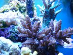 DSC00672 (Small).JPG