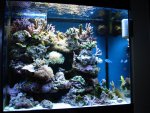 DSC00675 (Medium).JPG