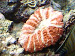 DSC00942.JPG