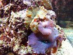 DSC00945.JPG