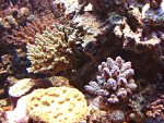 DSC00949.JPG