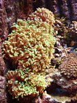 DSC00958.JPG