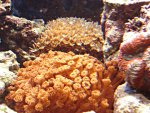 DSC00963.JPG