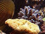 DSC00965.JPG