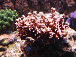 DSC00975.JPG