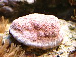 DSC00977.JPG