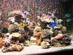 DSC00978.JPG