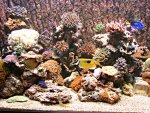 DSC00979.JPG