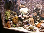 DSC00980.JPG