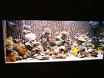 DSC00981.JPG
