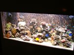 DSC00983.JPG