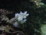 DSC00502.JPG