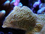 DSCN1321.jpg