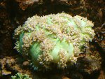 DSC00984.JPG