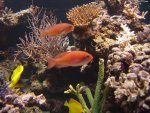 DSC00538.JPG