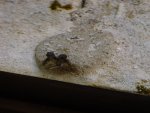 DSC00543.JPG