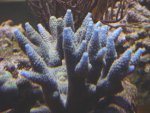 DSC00550.JPG