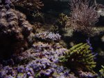 DSC00551.JPG