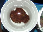 20071124001.jpg