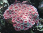 20071125003.jpg