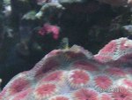 20071125008.jpg