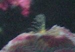 20071125008-1.jpg