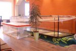 aquarium 014 (Custom).jpg