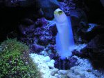 aqua-2007 256.jpg