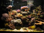 IMG_1796.jpg
