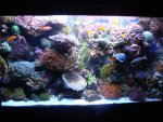 overzicht 19-12-2007 002.jpg