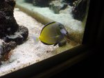 DSC00633.JPG