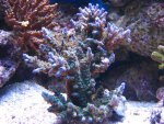 afbeelding_1211146061_121.jpg
