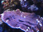 afbeelding_1211146065_133.jpg