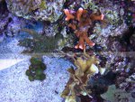 afbeelding_1211146094_155.jpg