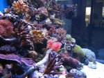 afbeelding_1211146115_943.jpg
