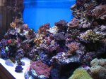 afbeelding_1211146116_487.jpg