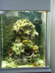 2008_0107Image0447.jpg