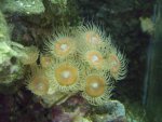 2008_0107Image0450.jpg