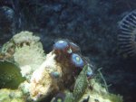 2008_0107Image0455.jpg