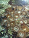 2008_0107Image0456.jpg