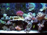 DSCN1453.jpg